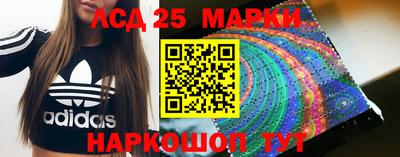 индика Аргун