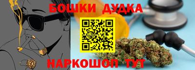 индика Аргун