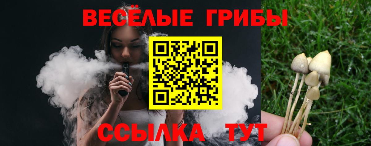 закладки  Галлюциногенные грибы Cubensis  Псилоцибиновые грибы MAGIC MUSHROOMS  Вход с VPN  Богородск 